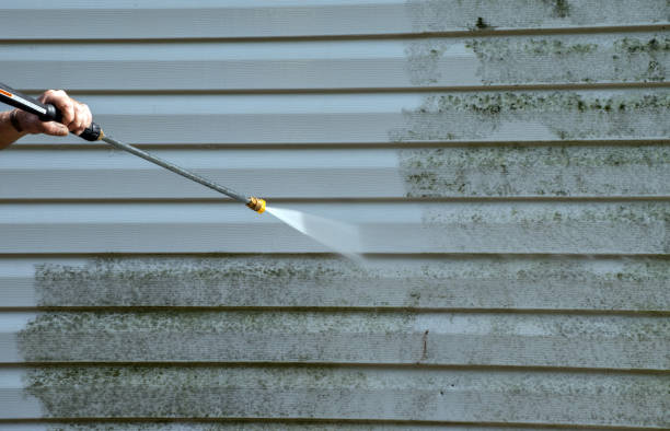 Best Roof Washing  in Jacksboro, TX